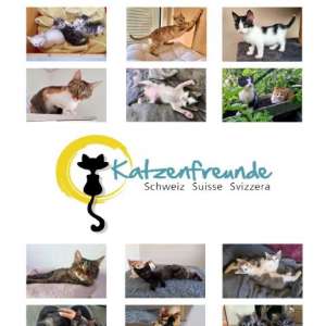 Kalender 2027